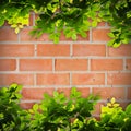 Green Leaves frame against red brick wall Royalty Free Stock Photo