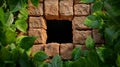 Green Leaves Framing Stone Wall with Empty Square Opening Royalty Free Stock Photo