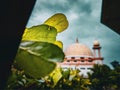 Green leaves in front of the mosque building and blue sky