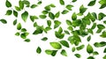 Green leaves, Green Floating Leaves Flying Leaves Green Leaf Dancing, Air Purifier Atmosphere Simple Main Picture isolated on Royalty Free Stock Photo