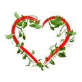Green leaves heart isolated on white background Royalty Free Stock Photo