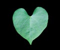 Green leaves heart shape with black background