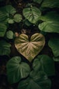 Green leaves with heart shape leaf, created using generative ai technology Royalty Free Stock Photo