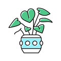 green leaves house plant color icon vector illustration Royalty Free Stock Photo