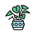 green leaves house plant color icon vector illustration Royalty Free Stock Photo
