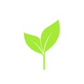 A green leaves icon, symble, logo, banner design. green leaf concept of spring season. vector and illustration Royalty Free Stock Photo