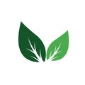 A green leaves icon, symble, logo, banner design. green leaf concept of spring season. vector and illustration Royalty Free Stock Photo