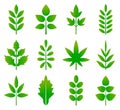 Green leaves icon Royalty Free Stock Photo