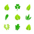 Green leaves icons set. Vector shapes of leaves or plants isolated on white background. Eco elements, vegan bio natural logos Royalty Free Stock Photo