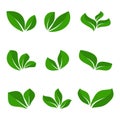 Green leaves isolated silhouettes icons natural set