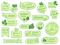 Green leaves labels. Eco, healthy and natural products. Certified quality fresh organic vegetarian food vector label Royalty Free Stock Photo