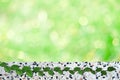 green leaves of Mexican daisy nature border and blur green bokeh terrazzo floor