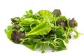 Mixed Salad green leaves raw