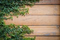 Green leaves over plank wood texture