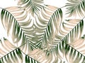 Green leaves of palm tree on white background