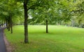 Green leaves in the park indicating that its swedish summer and makeuse of it