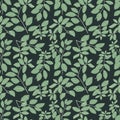 Green Leaves Pattern,Tropical Background Vector Illustration Royalty Free Stock Photo
