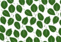 Green Leaves Pattern. Vector Illustration. Vector Pattern. Plants in garden.