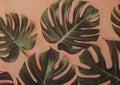 Green leaves on plain pastel pink background