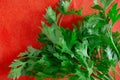 Green leaves on red background. Fresh parsley bunch on contrast vivid fabric. Spring and summer healthy diet food concept