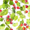Green leaves, red berries. Seamless pattern. Watercolor