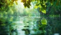 Green leaves reflect in tranquil pond, nature vibrant beauty