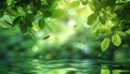 Green leaves reflect in tranquil pond, nature vibrant beauty