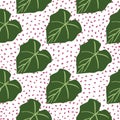 Green leaves seamless pattern on dots background. Foliage wallpaper in flat style Royalty Free Stock Photo