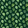 Green leaves seamless pattern, exotic tropical plants, jungle wallpaper. Watercolor botanical pattern, hibiscus leaf