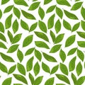 Green leaves seamless pattern. Fresh tea leaf background for organic branding, herbal packaging, and eco-friendly Royalty Free Stock Photo