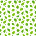 Green leaves seamless pattern Royalty Free Stock Photo