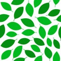 Green leaves seamless vector pattern Royalty Free Stock Photo