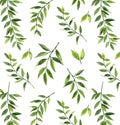 Green leaves seamless vector pattern. Watercolor tea leaf background Royalty Free Stock Photo