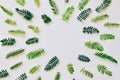 Green leaves set as circle frame on white background