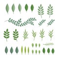 Green Leaves Set. Spring Botanical Herbal Icons. Vector