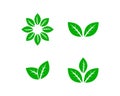 Green Leaves Set Vector Logo Template Royalty Free Stock Photo