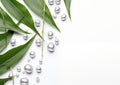 Green Leaves And Silver Pearls On White Background Royalty Free Stock Photo