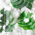 green leaves on a snowy iced background.valentine gift concept idea