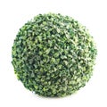 Green leaves sphere isolated Royalty Free Stock Photo
