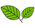 Green leaves symbol symbolizing nature and natural things. Clean and colourful design.