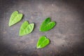 Green leaves on the table.Darke corner of immage,heart green