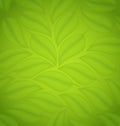 Green leaves texture, eco friendly background