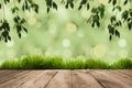 green leaves on twigs, sward and wooden planks with green