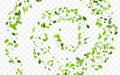 Green Leaves Vector Wallpaper. Grassy Leaf Royalty Free Stock Photo