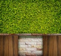 Green leaves wall, brick and wood for background Royalty Free Stock Photo