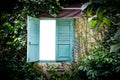 Green leaves wall with green window Royalty Free Stock Photo