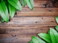 Green leaves with water drops on vintage brown wood Royalty Free Stock Photo