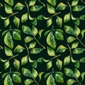 Green leaves watercolor seamless pattern. Botanical painting illustration isolated on black background. Summer Hand Royalty Free Stock Photo