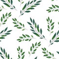 Green leaves. Wedding concept. Floral poster, invite. Vector arrangements for greeting card or invitation design background Royalty Free Stock Photo