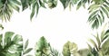 Green Leaves on White Background Royalty Free Stock Photo